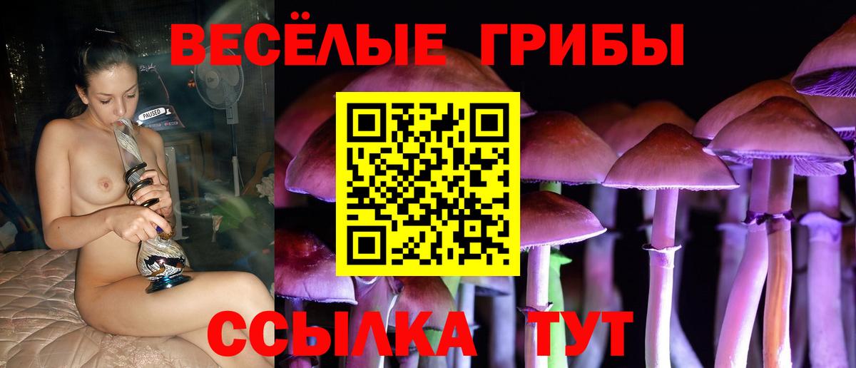 Псилоцибиновые грибы мухоморы Курган