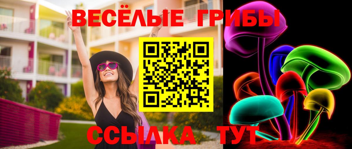 Курган  Галлюциногенные грибы Psilocybe  Вход с VPN 